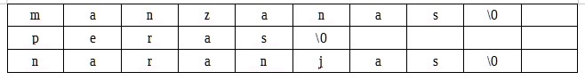 matrices de tipo char en lenguaje C