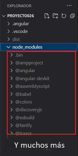 Angular carpeta node_modules