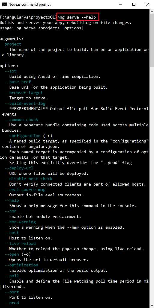 ng serve --help