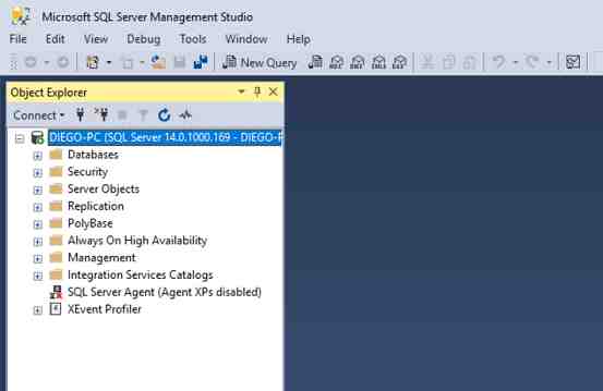 SQL Server Management Studio ejecución