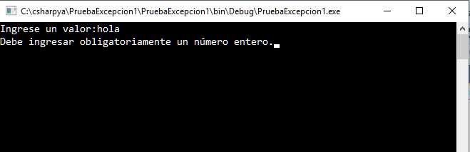 C# excepciones capturar