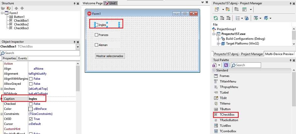 TCheckBox VCL Delphi