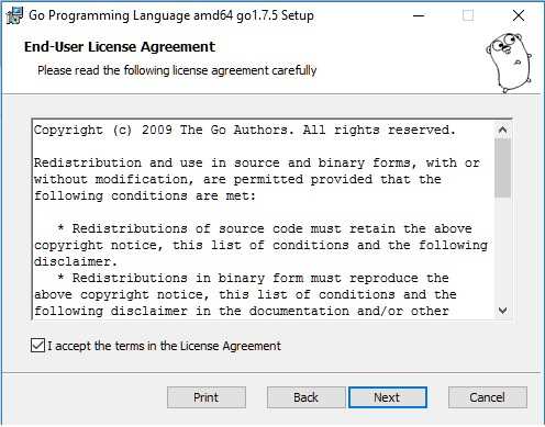 instalación lenguaje Go en Windows terminos y condiciones