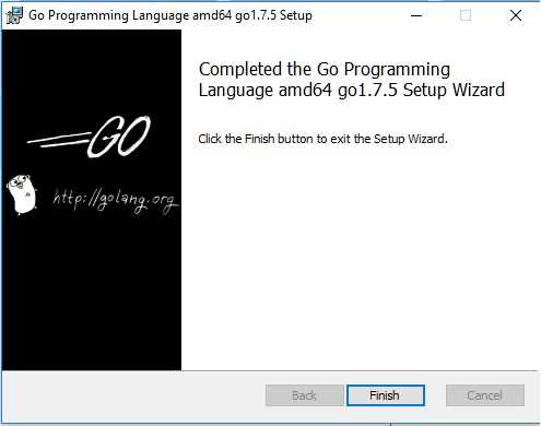 instalación lenguaje Go en Windows instalación