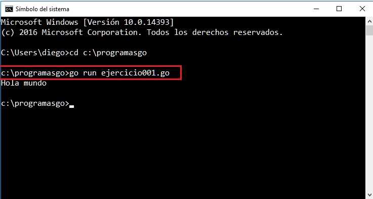 ejecución programa go