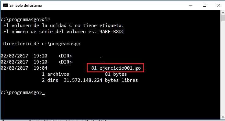 ejecución programa go