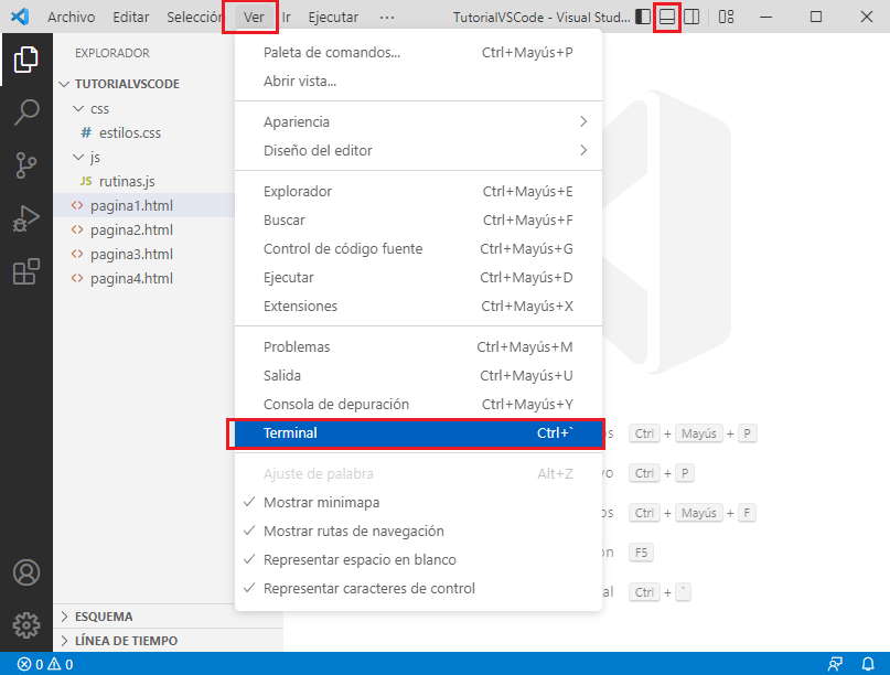 terminal iniciada desde el menú VSCode