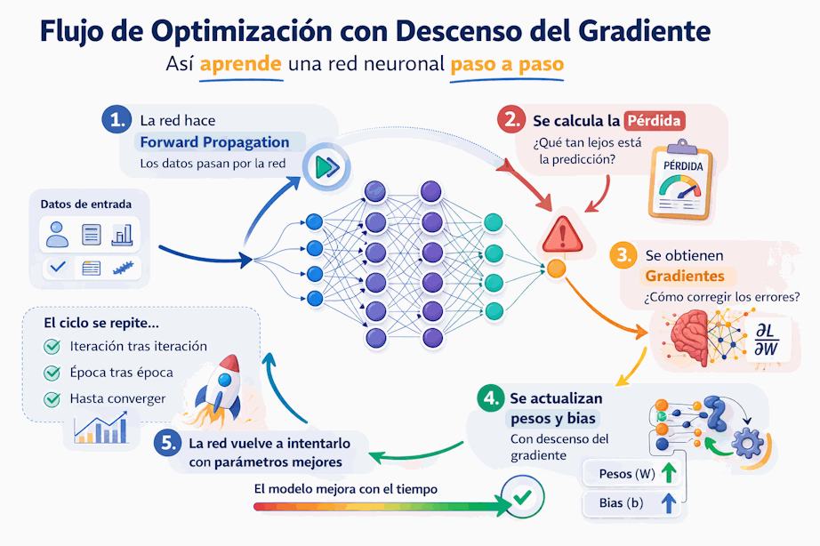 Resumen del flujo de optimizacion durante el entrenamiento