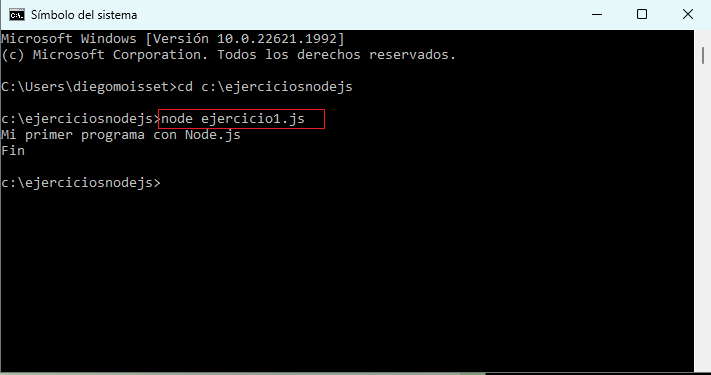 ejecución de programa nodejs