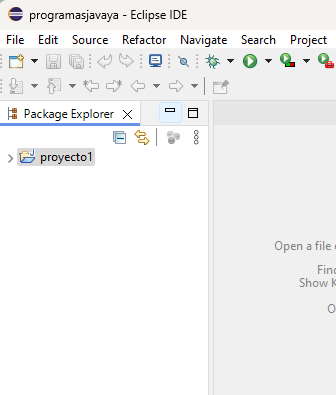package proyecto java