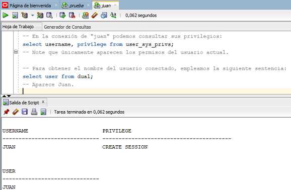 SQL Developer usuario juan