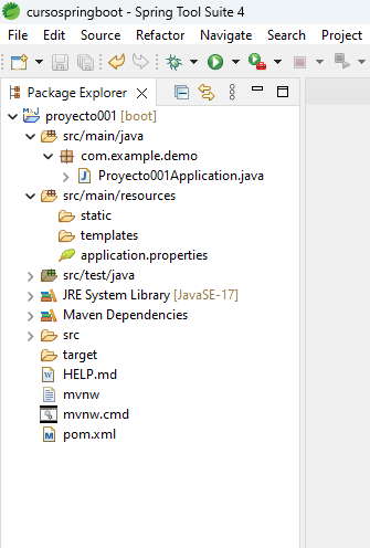 Organización de carpetas de un proyecto Spring Boot