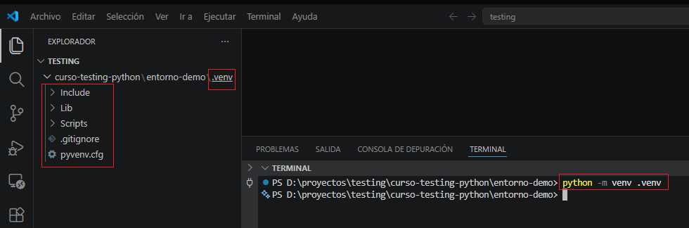 Creación del entorno virtual del proyecto