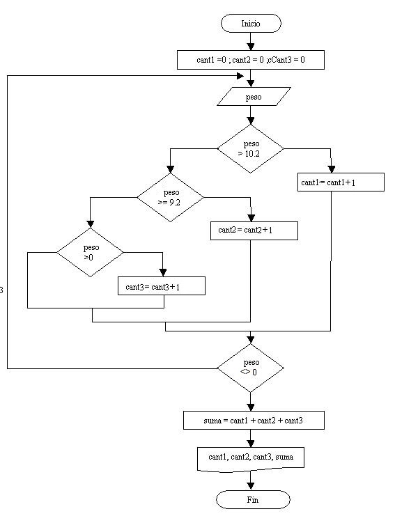 estructura repetitiva do while