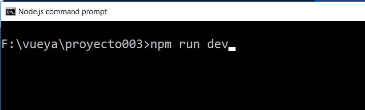 npm run dev